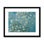 Almond blossom Framed & Mounted Print