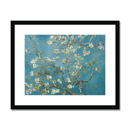 Almond blossom Framed & Mounted Print