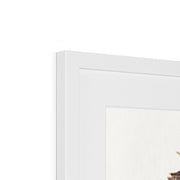 Buttercups, Mt. Desert Framed & Mounted Print