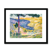 Valley with Fir; Shade on the Mountain Framed & Mounted Print