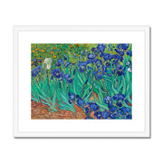 Irises Framed & Mounted Print