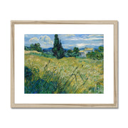Green Wheat Field with Cypress Framed & Mounted Print