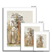 Oak and Evergreen Framed & Mounted Print