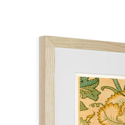 Pink and Rose Framed & Mounted Print