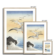 Five Seagulls Above Turbulent Sea Framed & Mounted Print