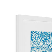 Marigold Framed & Mounted Print