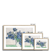 Irises (1890) Framed & Mounted Print