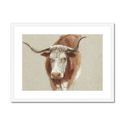 Head of a Cow or Ox Framed & Mounted Print