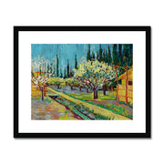 Orchard Bordered by Cypresses Framed & Mounted Print