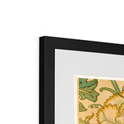 Pink and Rose Framed & Mounted Print