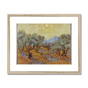 Olive Trees (1889) Framed & Mounted Print