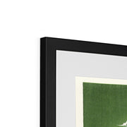 Peacock Framed & Mounted Print