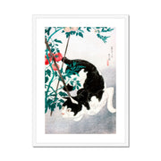 Cat with Tomato Plant Framed & Mounted Print