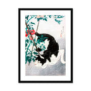 Cat with Tomato Plant Framed & Mounted Print
