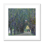 Allee at Schloss Kammer Framed & Mounted Print