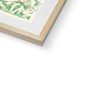 Willow Bough Framed & Mounted Print