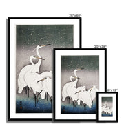 Group of Egrets Framed & Mounted Print