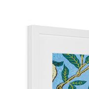 Four Fruits Framed & Mounted Print