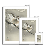 Long-Eared Owl in Ginkgo Framed & Mounted Print