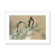 Cranes from Momoyogusa–Flowers of a Hundred Generations Framed & Mounted Print