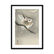 Long-Eared Owl in Ginkgo Framed & Mounted Print