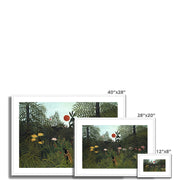 Virgin Forest with Sunset Framed & Mounted Print