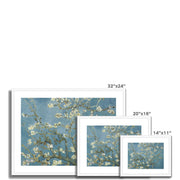 Almond blossom Framed & Mounted Print