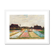 Flower Beds in Holland  Framed & Mounted Print