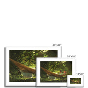 Sunlight and Shadow Framed & Mounted Print