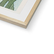 Blooming Lotus Flowers Framed & Mounted Print