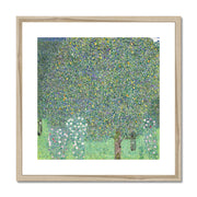 Rosebushes under the Trees Framed & Mounted Print