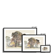 The Pine Trees of El Monte, California Framed & Mounted Print
