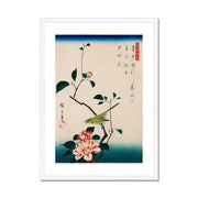 The ukiyo-e illustration, Camellia and Nightingale Framed & Mounted Print