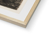 The Three Trees Framed & Mounted Print