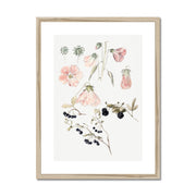 Botanical Detail Studies: Hollyhocks, Blueberries, and Blackberries Framed & Mounted Print