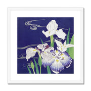 Irises Framed & Mounted Print