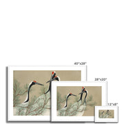 Cranes from Momoyogusa–Flowers of a Hundred Generations Framed & Mounted Print