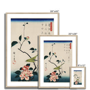 The ukiyo-e illustration, Camellia and Nightingale Framed & Mounted Print