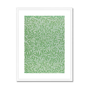 Willow Framed & Mounted Print