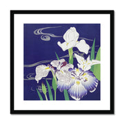 Irises Framed & Mounted Print