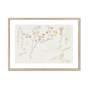 Studies of Meadow Flowers Framed & Mounted Print