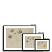 Study of White Daisy, Chamomile Stem with Two Petals, and a Chamomile Petal Framed & Mounted Print
