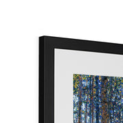 Beech Grove I Framed & Mounted Print