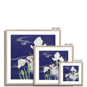 Irises Framed & Mounted Print