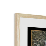 The Road from Versailles to Louveciennes Framed & Mounted Print