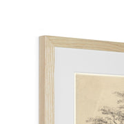 A Great Oak Tree Framed & Mounted Print