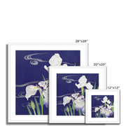 Irises Framed & Mounted Print