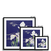 Irises Framed & Mounted Print