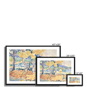 Pines on the Coastline Framed & Mounted Print