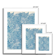 Blue Marigold Framed & Mounted Print